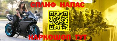МДПВ Нарткала