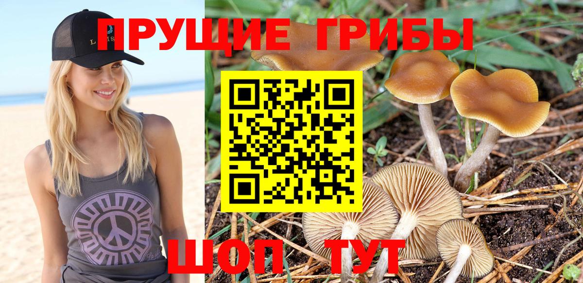 Псилоцибиновые грибы Magic Shrooms Советск